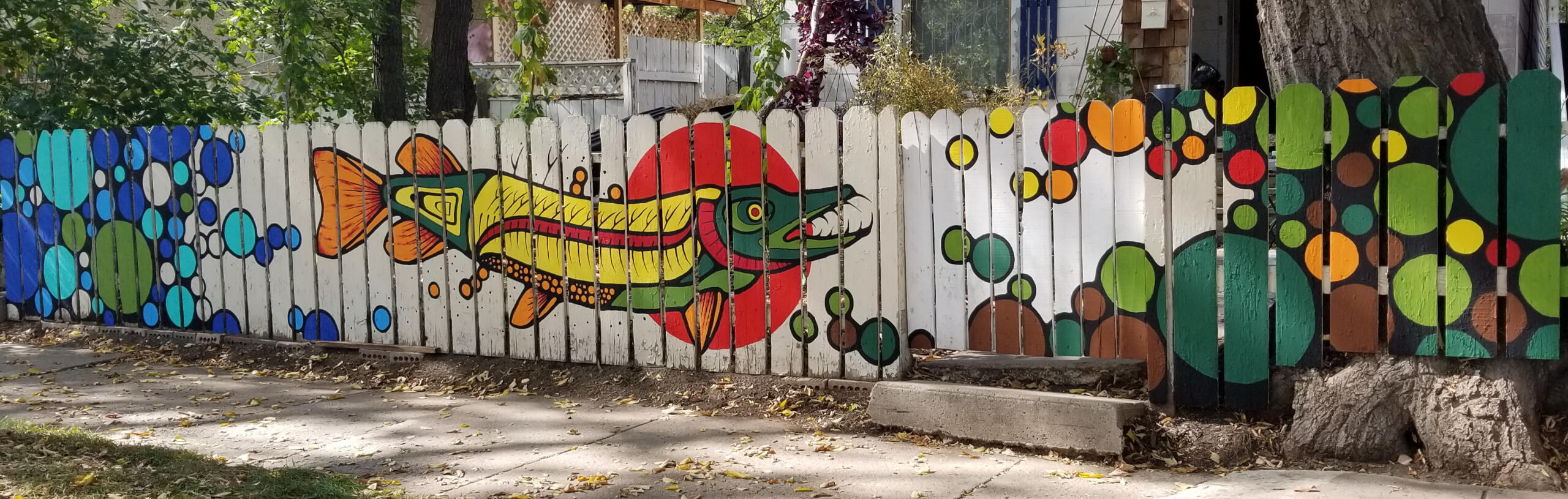Jackfish mural.1m x 30m Neighborhood beautification project, completed September 2023