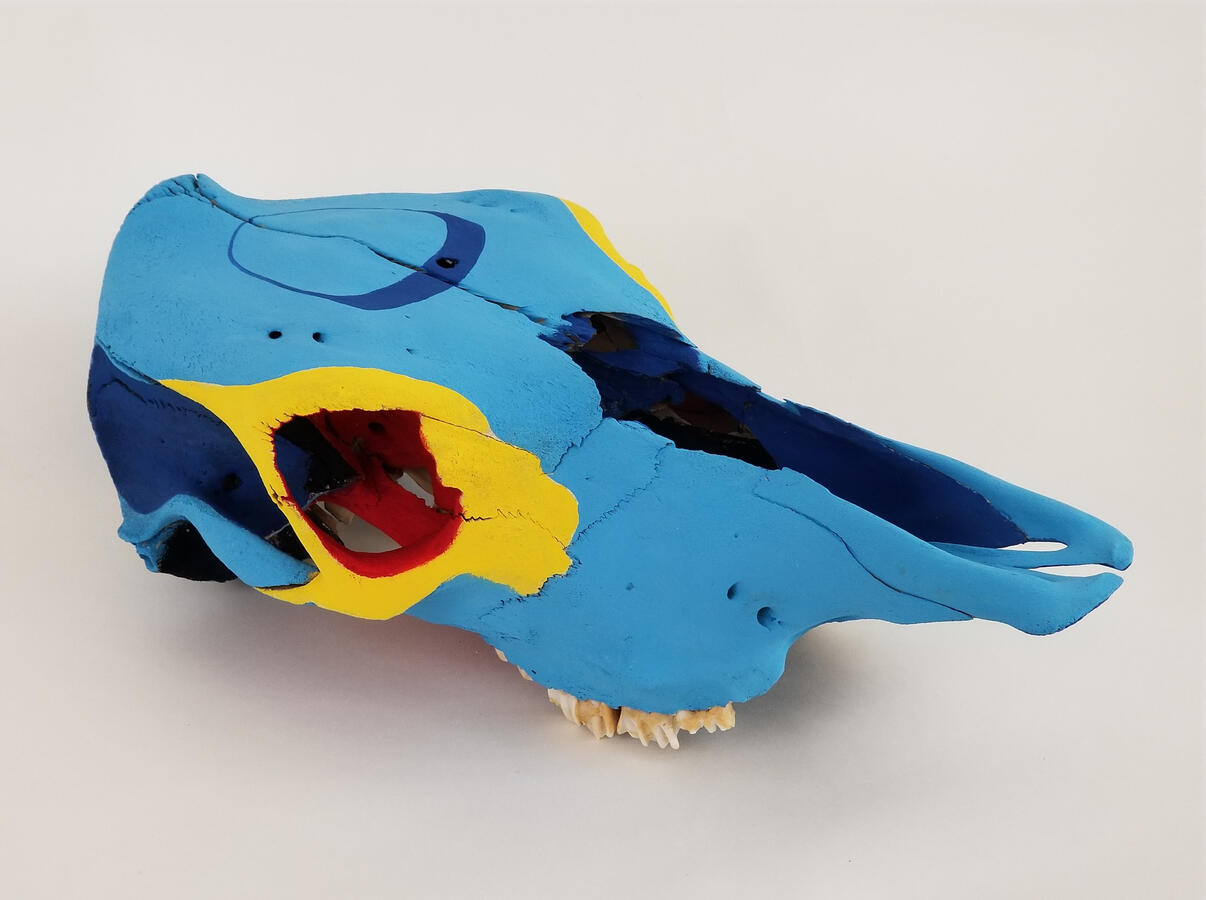 Painted Pony. Acrylic on real horse skull. $300.00